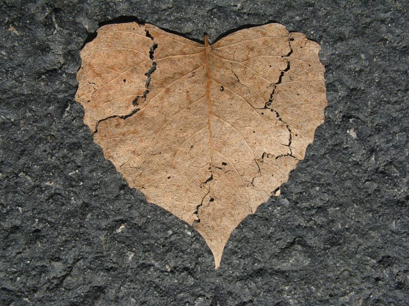 Jesus on Divorce and Remarriage: Introduction (JDR-1)