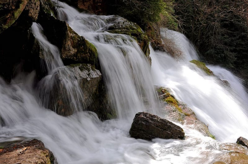 Life Thirst: L&#8217;Chaim [Poem by Mom]