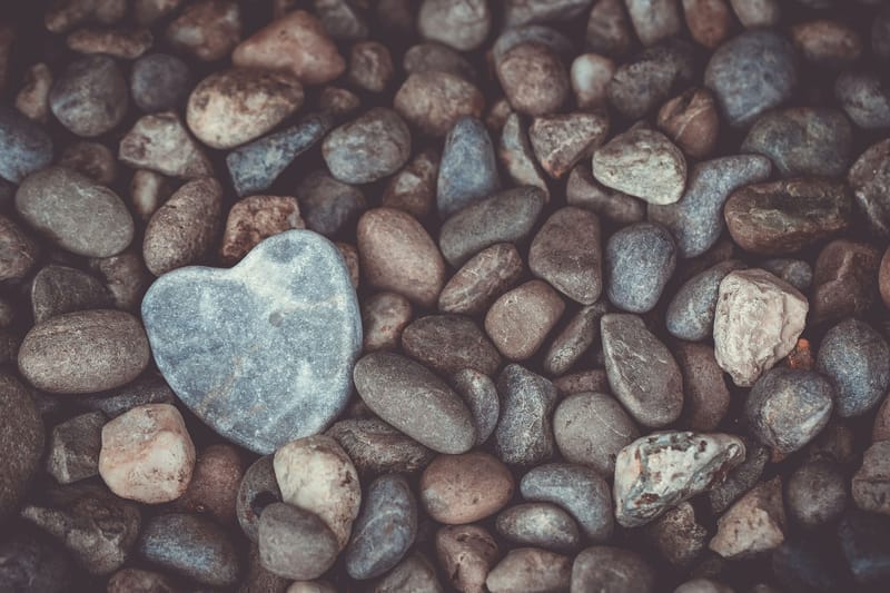 Why Did “Hardness of Heart” Cause God to Allow Divorce? (JDR-9)