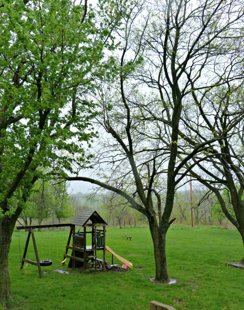 playset