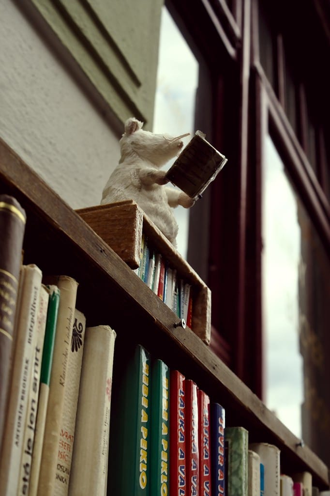 The RAT: A New Bible Translation for Anabaptists
