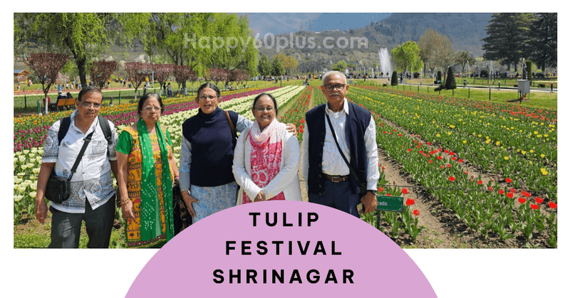 Tulip Festival in Kashmir - Happy60plus