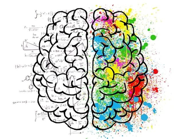 creative brain and logical brain