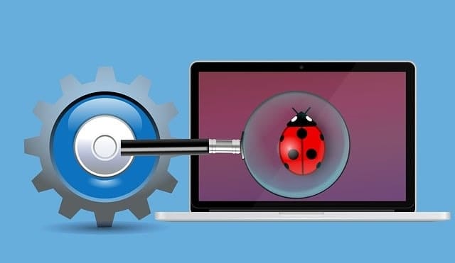 bug under lens