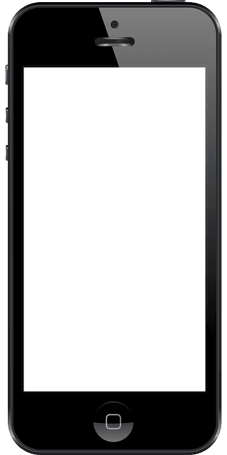 cell phone