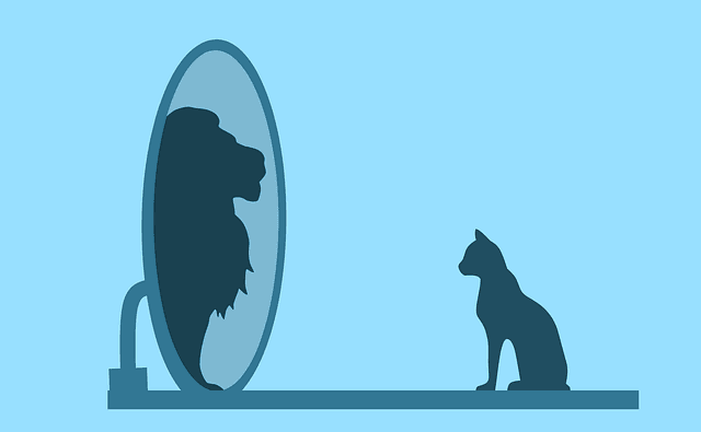 cat seeing in a mirror and looks like a lion