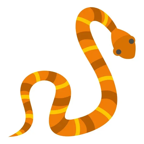 Snake's Direction in snake game