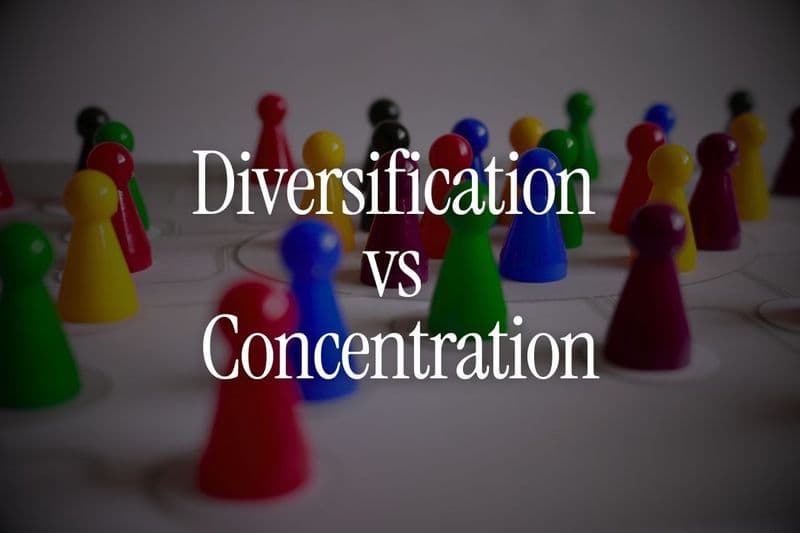 Diversification vs Concentration -  Which Strategy Reduces Risk Better