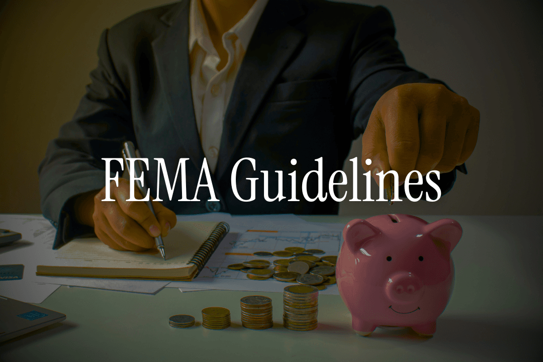 FEMA Guidelines Every NRI Should Know