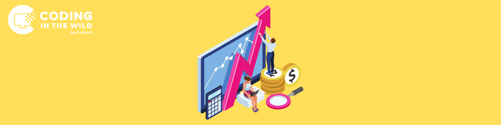 Coding for Sales Software