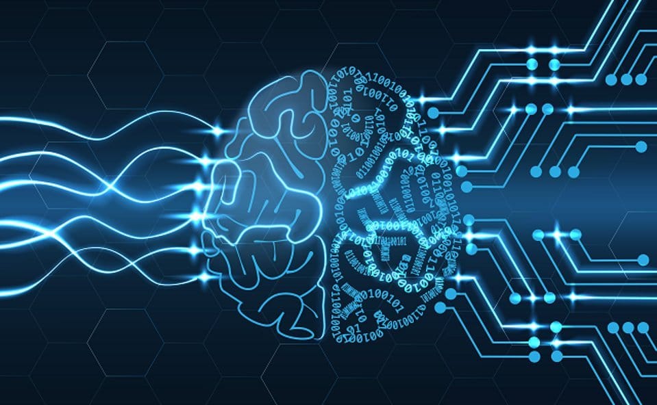 Custom Large Language Models Company Data