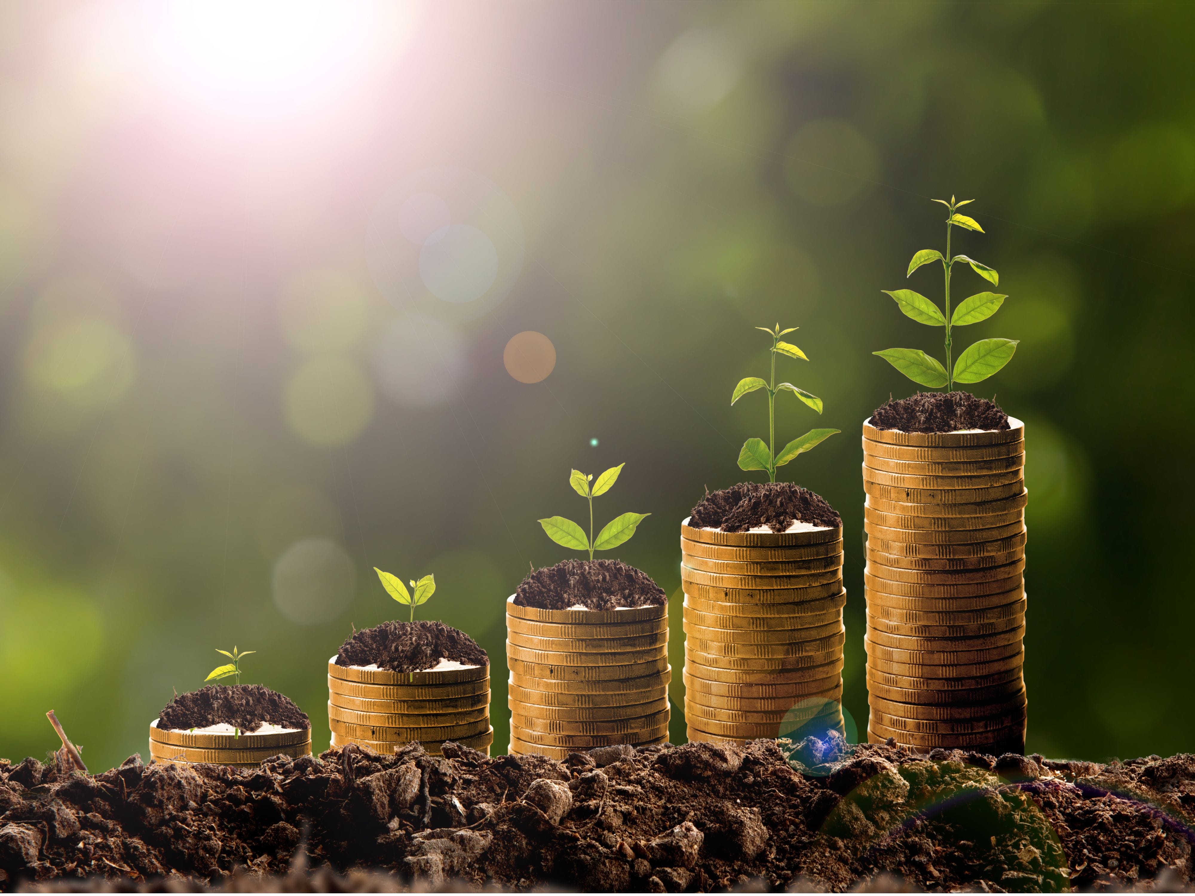 Stacks of coins increasing in height, each with a small plant growing on top