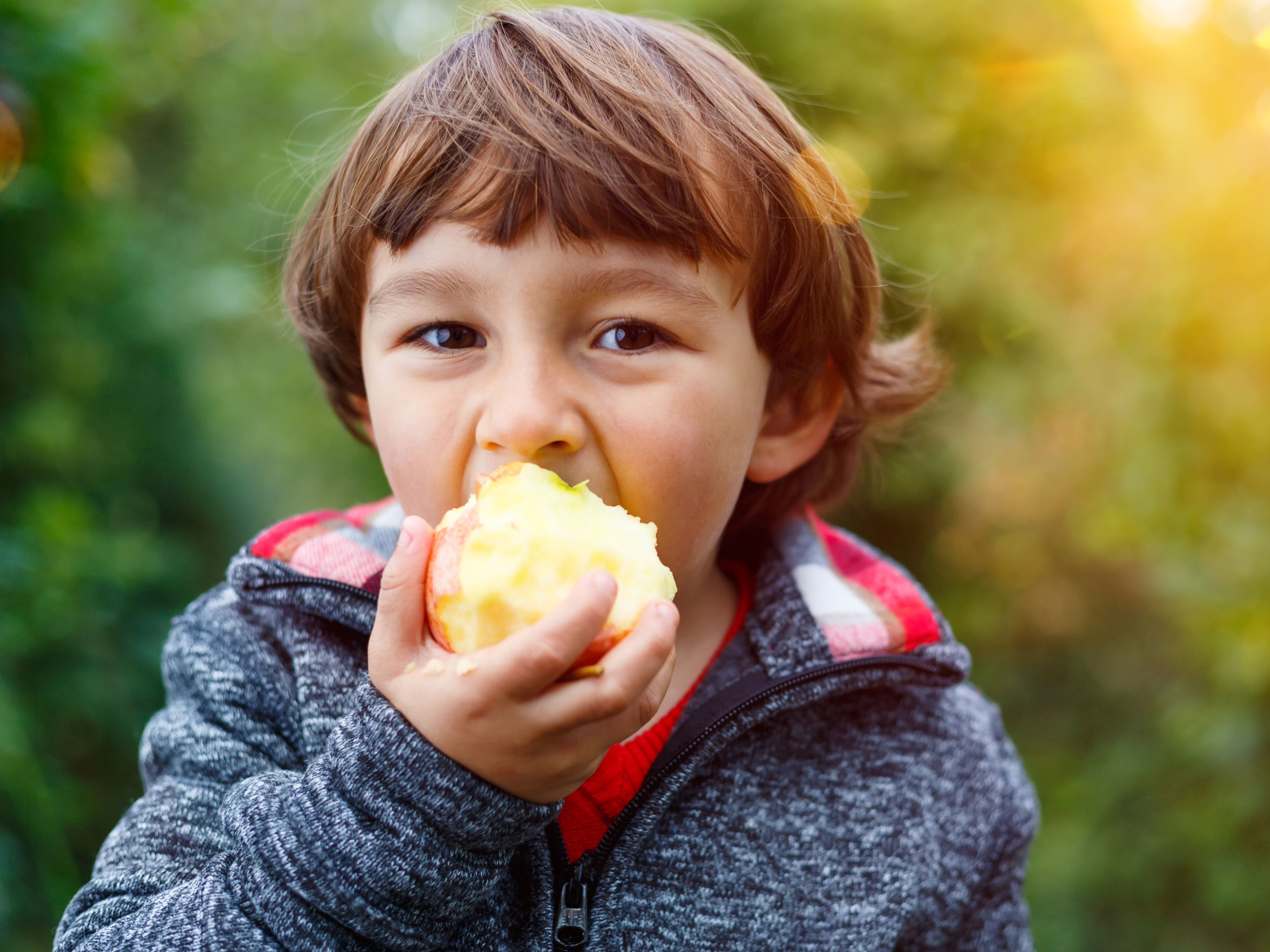 What Are the Best Ways to Encourage Healthy Eating Habits in Kids?