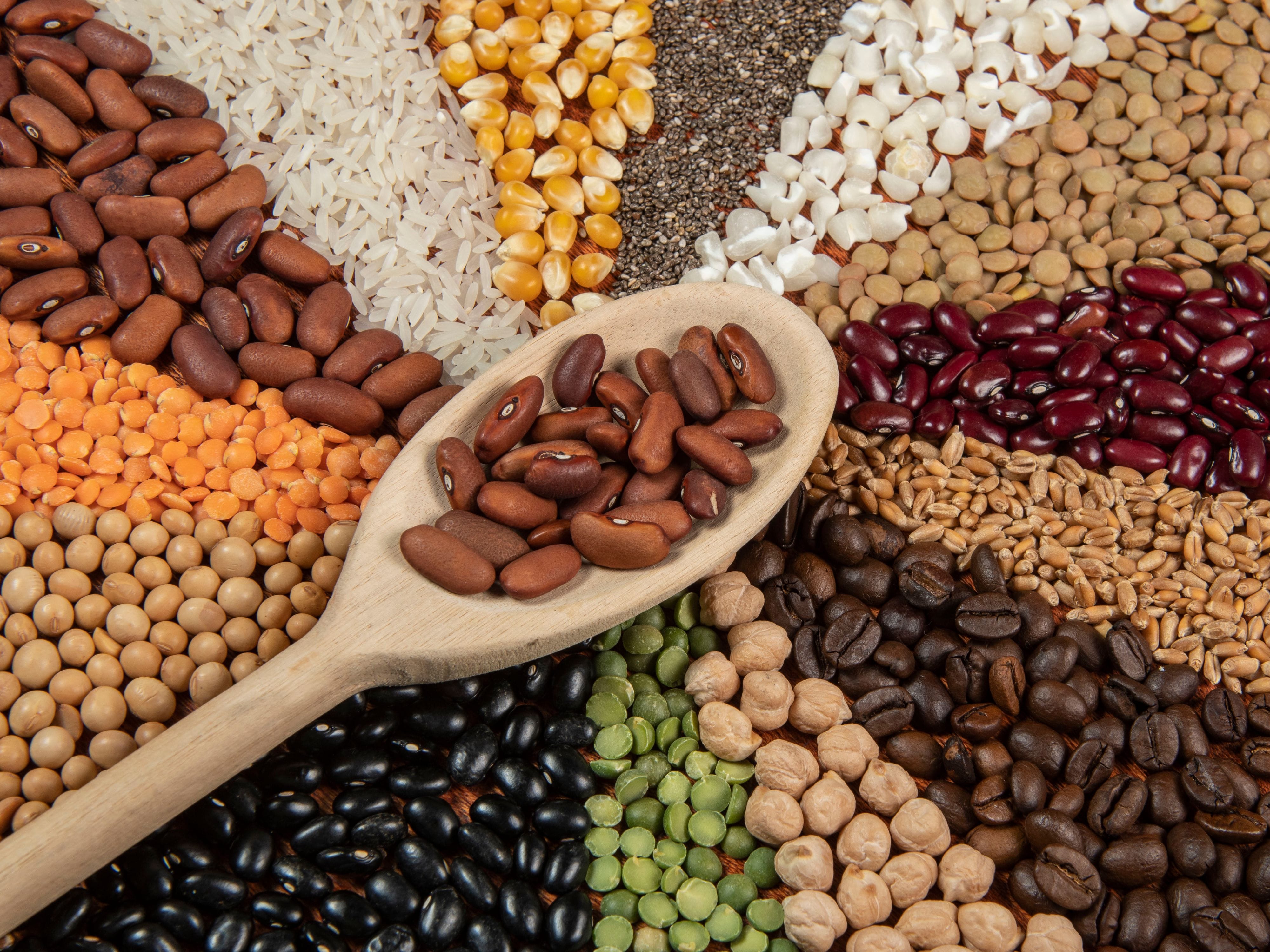 A wooden spoon filled with brown beans resting on an assortment of grains, lentils, and legumes arranged in colorful sections