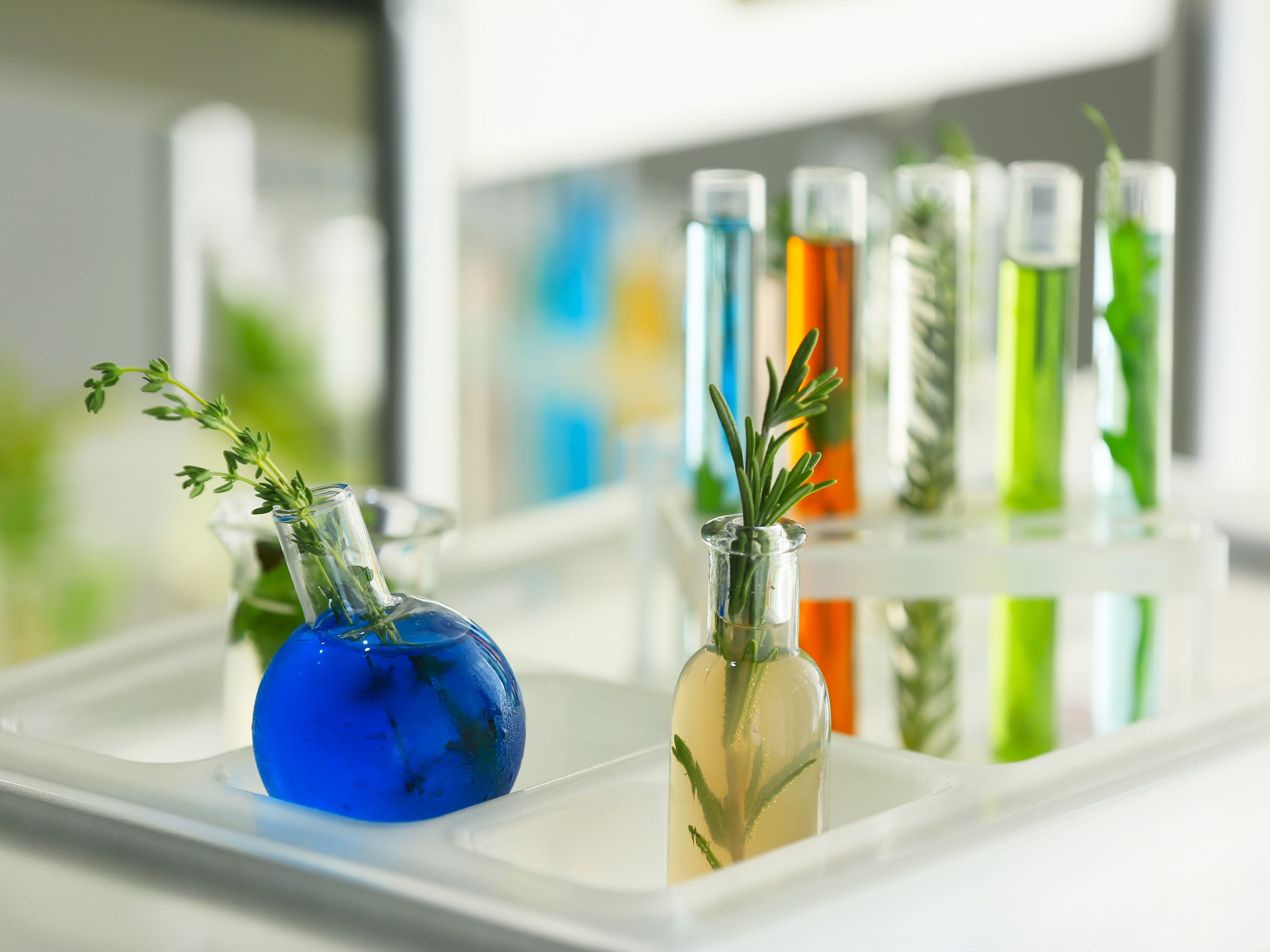Test tube filled with water and plants, serving as a unique indoor plant holder