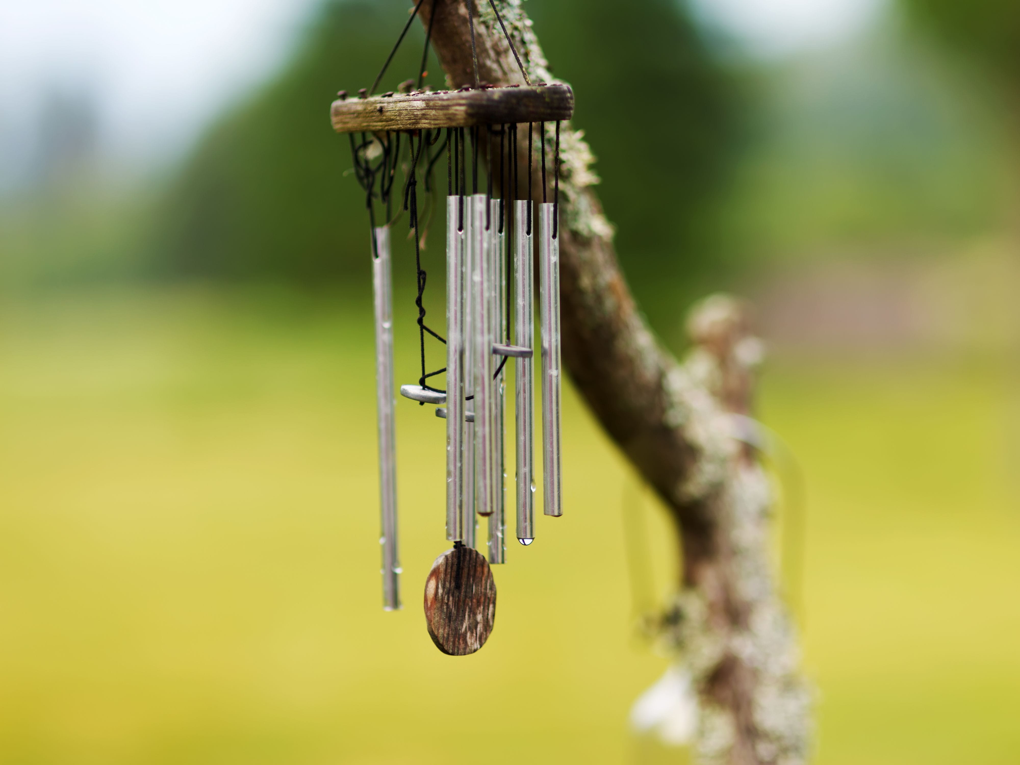 Wind Chime hanging on a tree branch