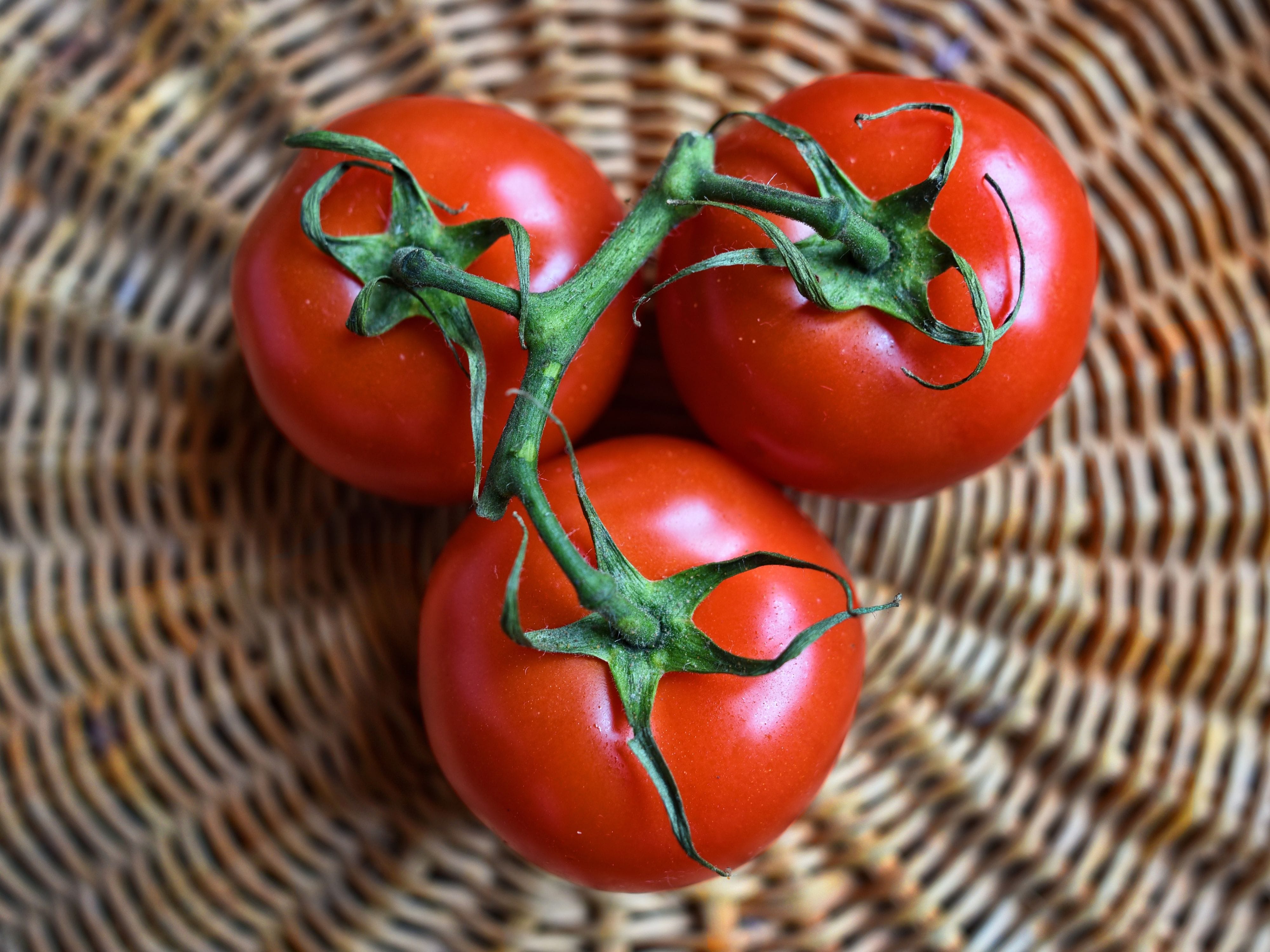 Three ripe tomatoes on a vine