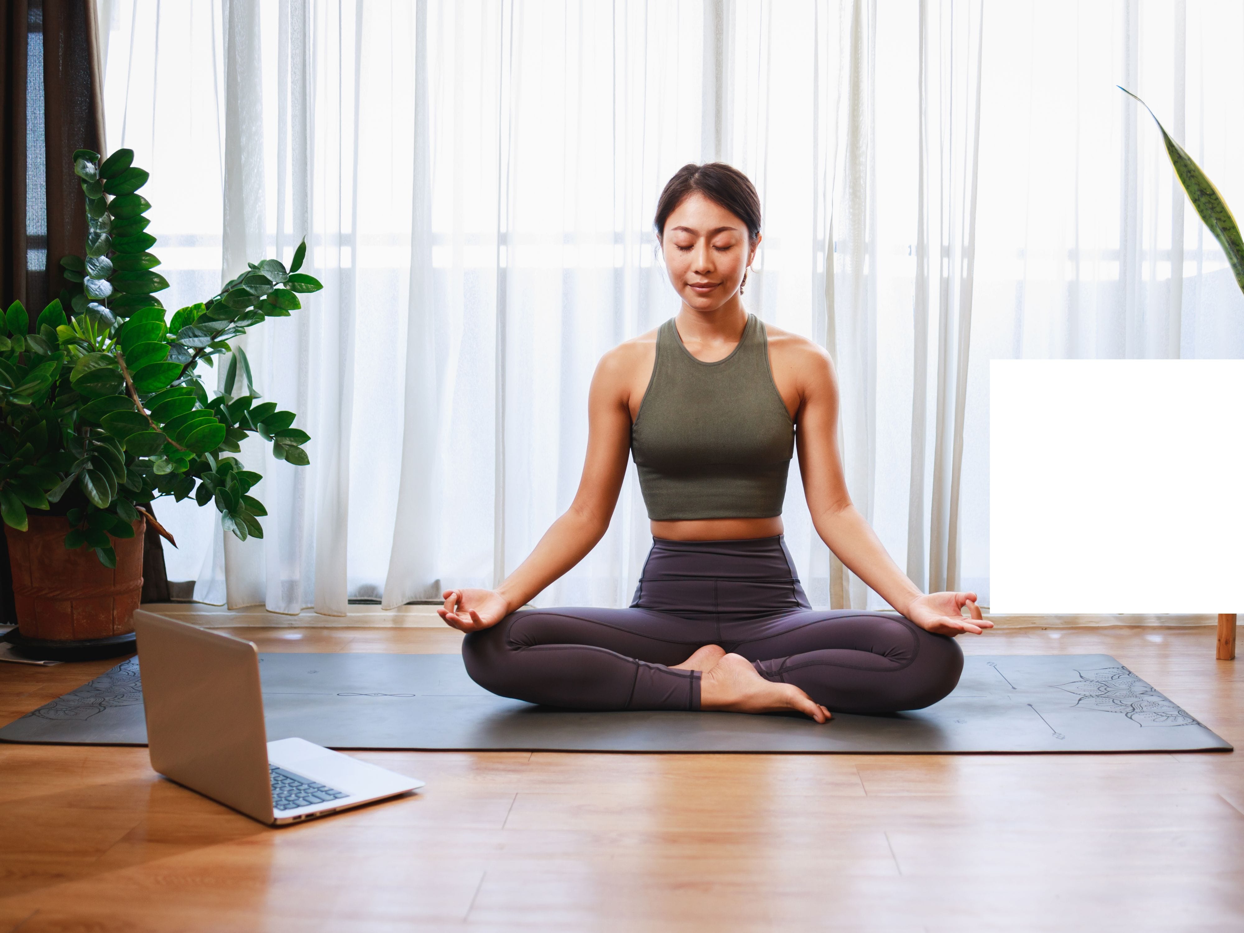 Why Hatha Yoga Is The Perfect Starting Point For Yoga Beginners