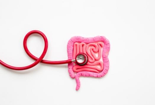 Why Gut Health Is the Secret to a Happier, Healthier You