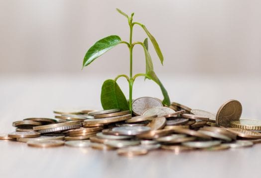Green plant growing on coins, savings