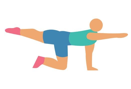 Core muscle exercise - Bird Dog