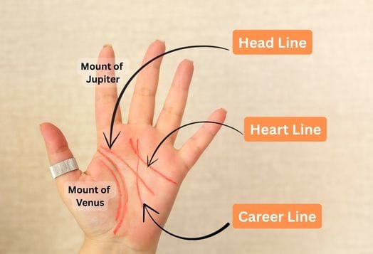 Are You On The Right Path? The Career Line On Your Hand Knows It
