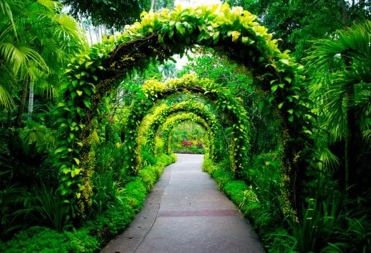 Lal Bagh Botanical Garden in Bangalore