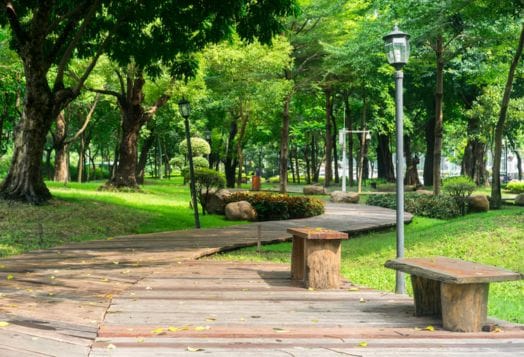 Lush green Cubbon Park in Bangalore