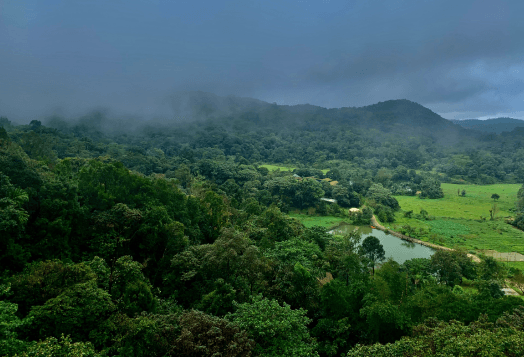 Coorg, "The Scotland of India," with lush green landscapes and mist