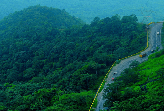 Winding road through lush green hills, Yercaud