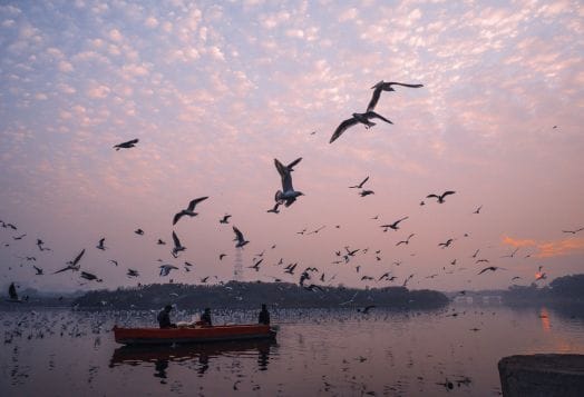 Ranganathittu Bird Sanctuary