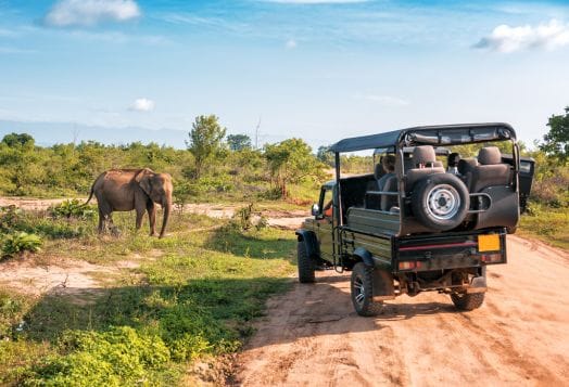 Bannerghatta National Park