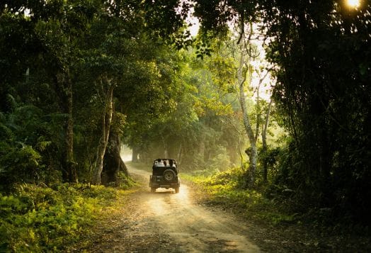 Nagarhole National Park