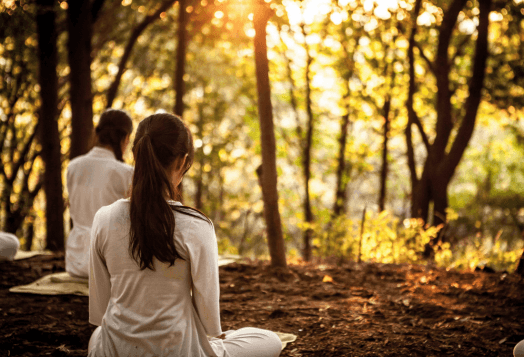 Two people meditating in a forest at sunset