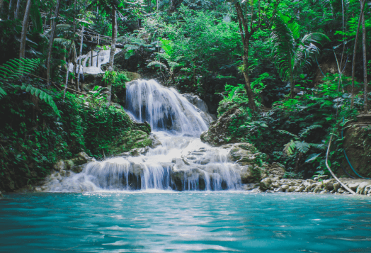 The Hidden Jungle Waterfall near Vasco, with clear blue water cascading over rocks amidst lush green foliage