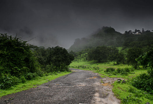 Misty road through a green, hilly landscape