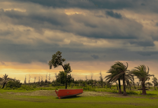 A boat resting on a grassy field with palm trees and a cloudy, dramatic sky