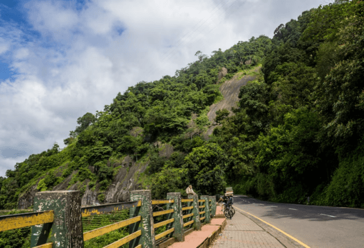 A scenic road in Lonavala, Maharashtra, winding along a lush green, rocky hillside under a cloudy sky