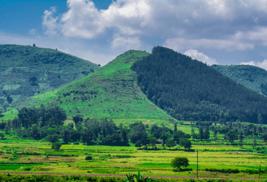 Ziro Valley, Arunachal Pradesh