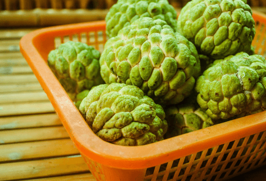 Custard Apple