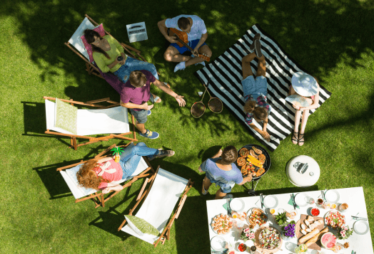 A bird's-eye view of people having a picnic in a grassy backyard