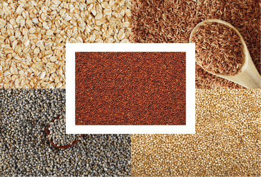 A collage of various types of ancient grains
