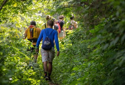 The Link Between Nature Walks and Mental Healthiness