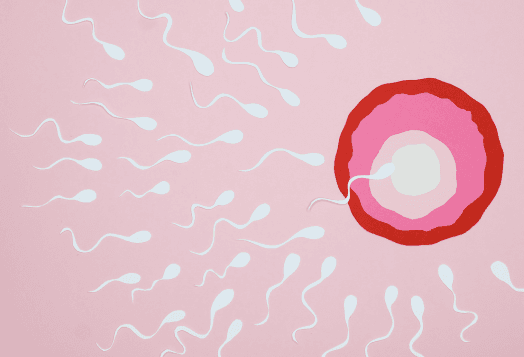 Fertility Myths Indian Couples Need to Stop Believing 