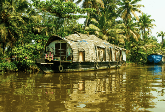 Houseboat on serene river surrounded by lush palms