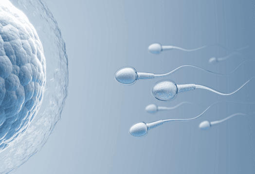10 Foods Everyone Thinks Boost Fertility (But Do They Really?)\n