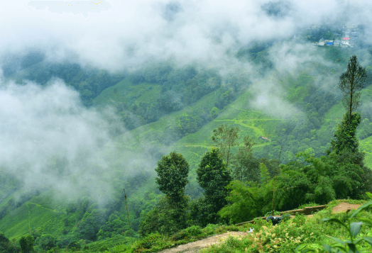 Lush green hills covered in mist and trees