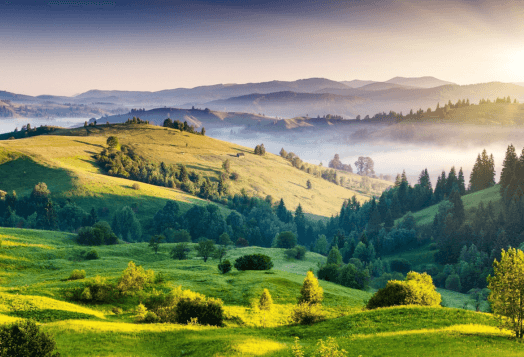 Rolling green hills with forest and morning mist