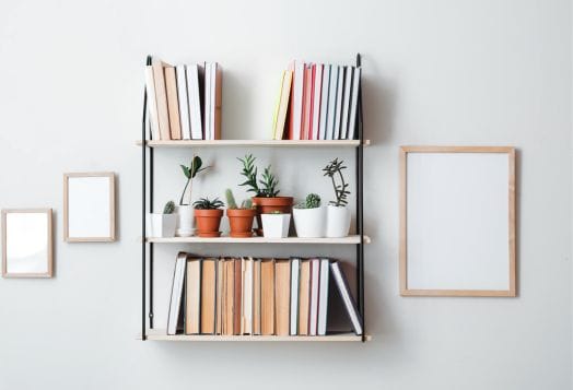 Bookshelf with books and small potted plants