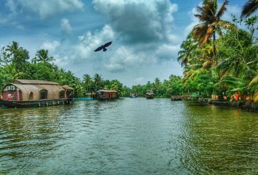 Kerala backwaters, houseboats, lush greenery
